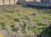 Satılır 5 sot torpaq Türkan