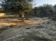 Satılır 24 sot torpaq Görədil