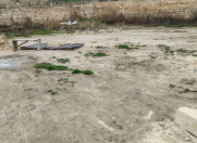 Satılır 5 sot torpaq Fatmayı