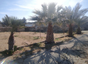 Satılır 16 sot torpaq Şüvəlan