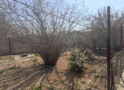 İcarəyə verilir 5 otaqlı 4 m2 həyət evi Gəncə