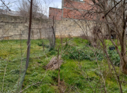 Satılır 2 sot torpaq Badamdar