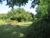 Satılır 4200 sot torpaq Qəbələ