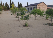Satılır 3 otaqlı 80 m2 həyət evi Şüvəlan