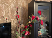 İcarəyə verilir 2 otaqlı 60 m2 köhnə tikili Elmlər Akademiyası m.