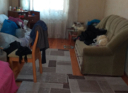 Satılır 3 otaqlı 95 m2 həyət evi Xırdalan