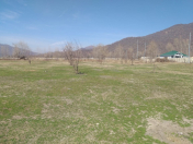 Satılır 19 sot torpaq Qəbələ