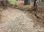 Satılır 145 sot torpaq Qəbələ