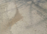 Satılır 4 sot torpaq Y.Günəşli