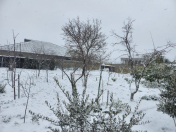 Satılır 10 sot torpaq Bilgəh