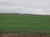 Satılır 106 sot torpaq Xaçmaz