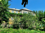 Satılır 8 otaqlı 242 m2 həyət evi Şamaxı