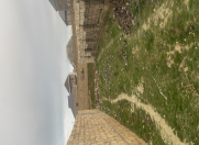 Satılır 6 sot torpaq Qala