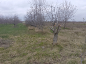 Satılır 16 sot torpaq Quba