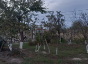 İcarəyə verilir 2 otaqlı 42 m2 köhnə tikili Tovuz