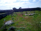 Satılır 5 sot torpaq Türkan