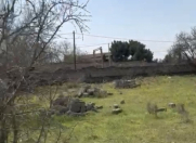 Satılır 10 sot torpaq Bilgəh