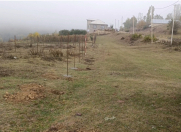 Satılır 10 sot torpaq Qusar