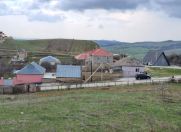 Satılır 24 sot torpaq Şamaxı