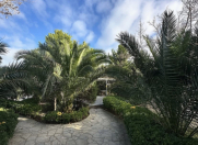 Satılır 12 sot torpaq Şüvəlan