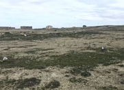 Satılır 100 sot torpaq Rəsulzadə