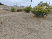 Satılır 11 sot torpaq Albalı