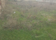 Satılır 12 sot torpaq Görədil