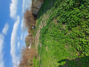 Satılır 10 sot torpaq Bərdə