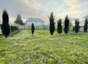 Satılır 11 sot torpaq Masallı