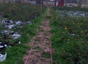 Satılır 18 sot torpaq Nardaran