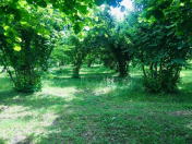 Satılır 2 otaqlı 68 m2 həyət evi Oğuz