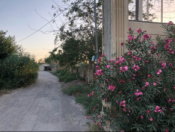 Satılır 30 otaqlı 620 m2 obyekt Salyan