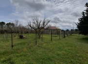 Satılır 30 sot torpaq Şüvəlan