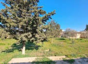 Satılır 19 sot torpaq Şüvəlan