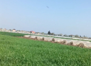 Satılır 84 sot torpaq Masallı