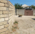 Satılır 5 sot torpaq Novxanı