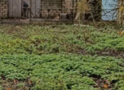 Satılır 2 otaqlı 25 m2 həyət evi Xaçmaz