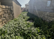 Satılır 4 otaqlı 138 m2 həyət evi Saray