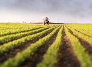 Satılır 150 sot torpaq Bərdə