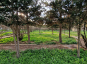 Satılır 3.45 sot torpaq Şüvəlan