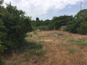 Satılır 30 sot torpaq Mərdəkan