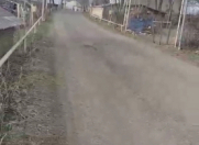 Satılır 30 sot torpaq Gədəbəy