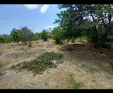 Satılır 5 sot torpaq Şabran