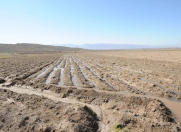 Satılır 42 sot torpaq Şabran