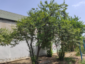 Satılır 20 sot torpaq Nardaran