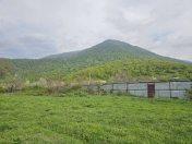 Satılır 5 sot torpaq Qəbələ