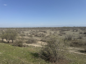 Satılır 100 sot torpaq Kürdəmir