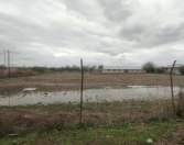 Satılır 1300 sot torpaq Salyan