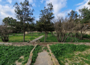 Satılır 3 sot torpaq Şüvəlan