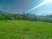 Satılır 10 sot torpaq Quba